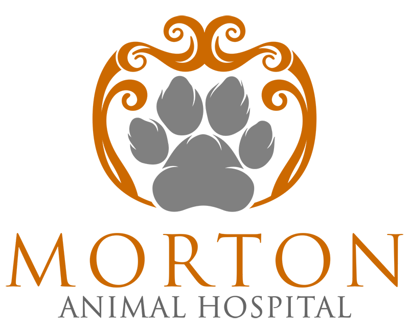 Morton Animal Hospital